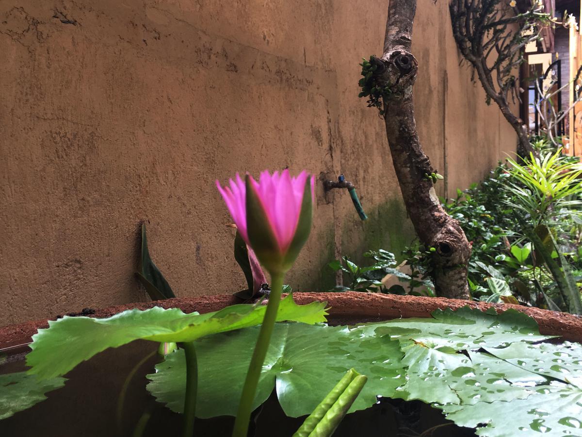 Bulan Bali Homestay Ubud Extérieur photo